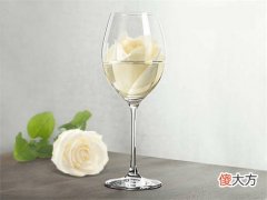 品鉴红葡萄酒的正确方法 红葡萄酒知识