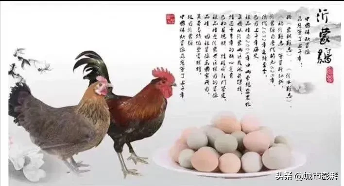 临沂沂蒙炒鸡店 临沂美食记录今天带你领略可称国之瑰宝的沂蒙鸡