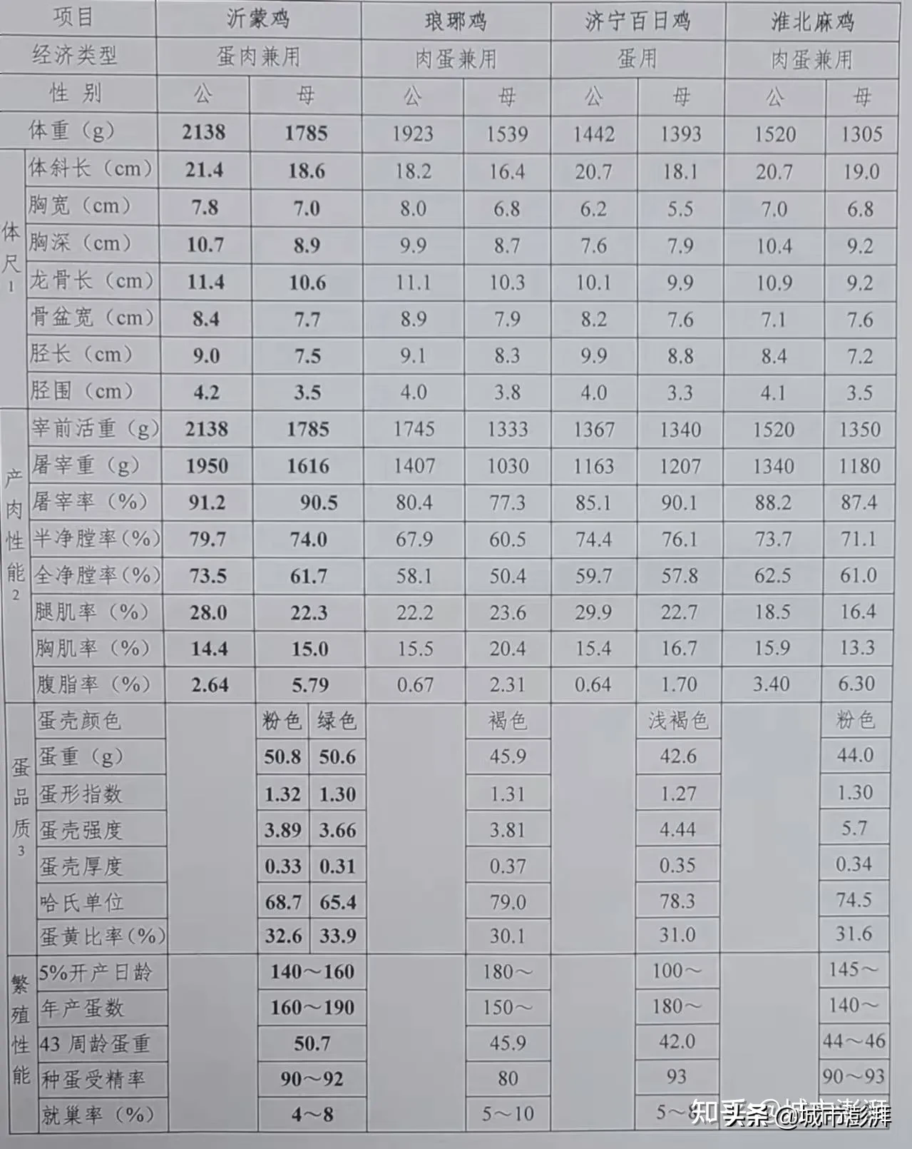 临沂沂蒙炒鸡店 临沂美食记录今天带你领略可称国之瑰宝的沂蒙鸡