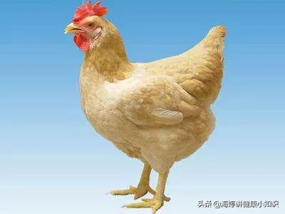 一方水土养一方人,南有乔木，北有灌丛。相信每一地方都有自己家乡的特产，现在