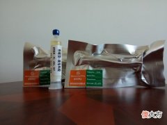 手机TP屏幕与中框粘接用什么胶好 手机屏幕粘合胶水什么牌子好