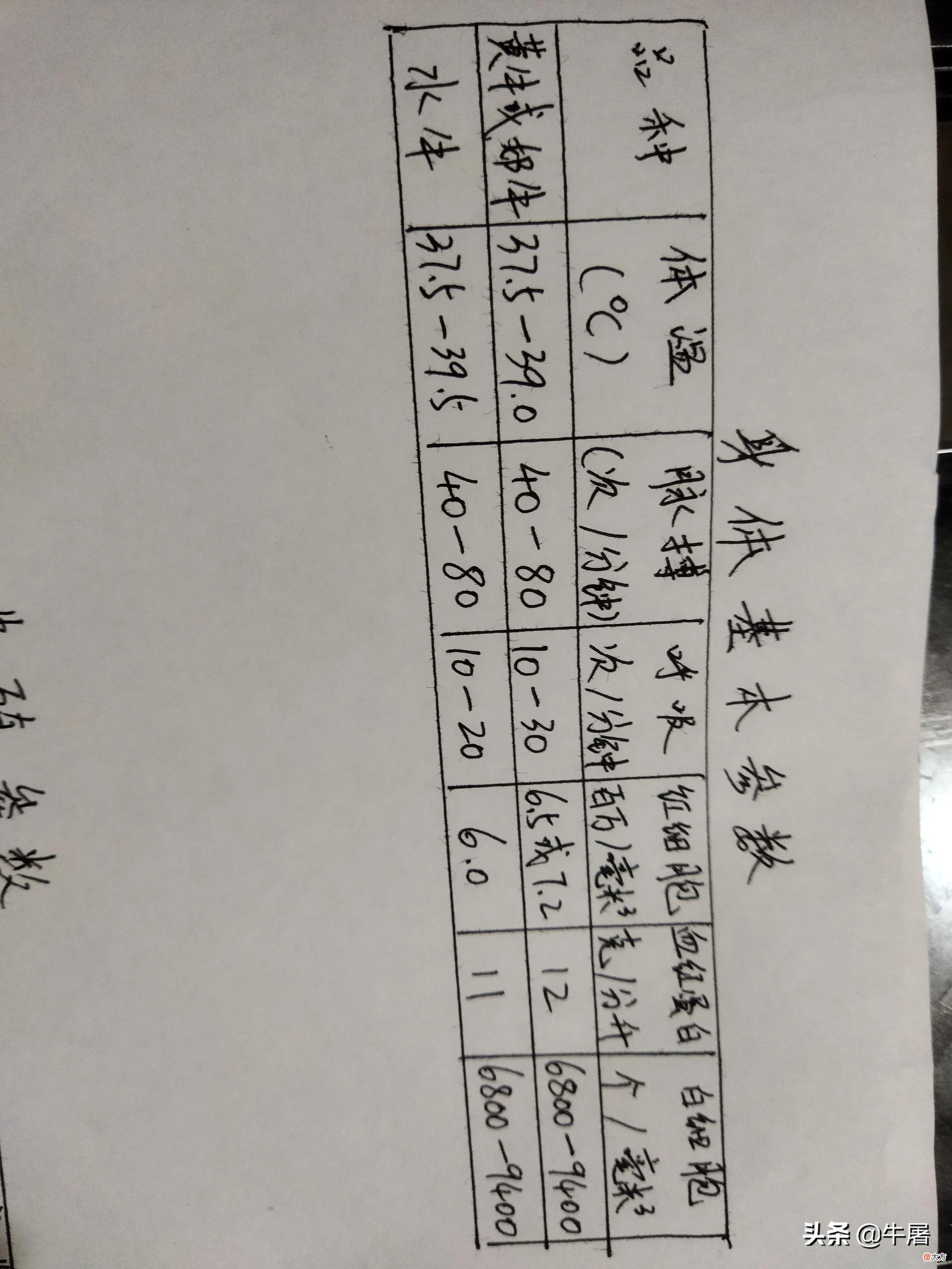牛的生理指标养牛人必须要清楚 牛的正常生理指标