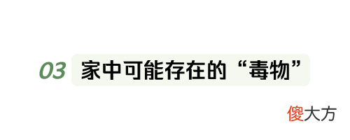 不光是吃豆角会中毒 吃豆角会食物中毒吗