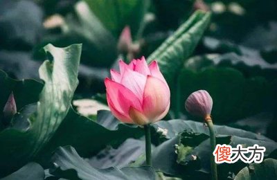 案例解读八字法