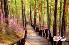五行中木克什么？