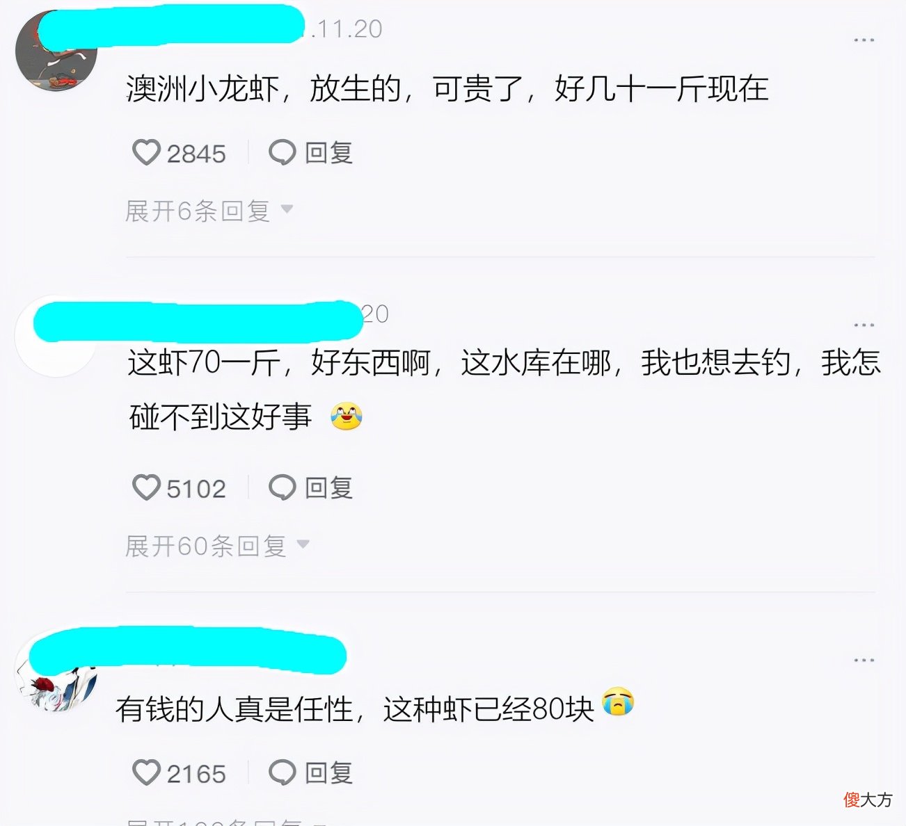 广东一水库出现许多彩色大虾，钓鱼人：多得很，但很难钓起来