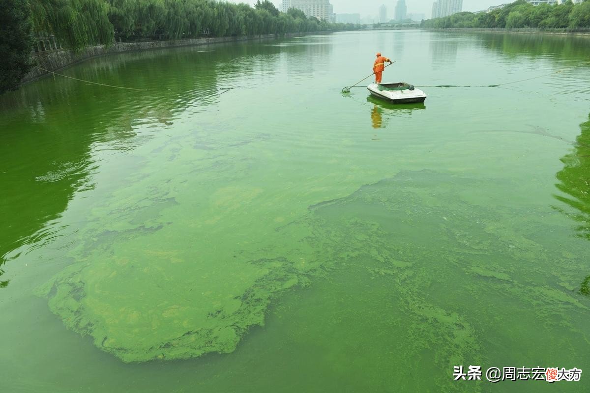 地球的空气从哪里来 地球的空气从哪里来的
