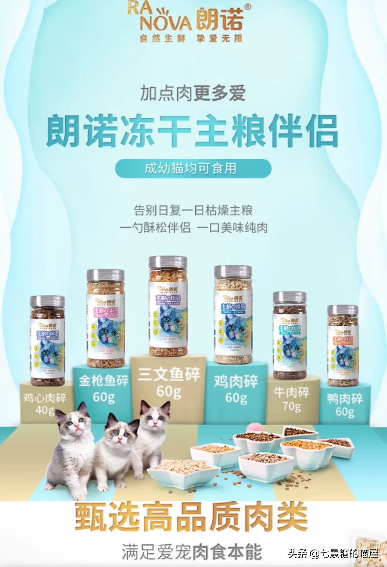 猫咪应该喂什么怎么养 经常有朋友问我平时都给猫咪吃啥，怎么喂养一只健康的猫咪？这个