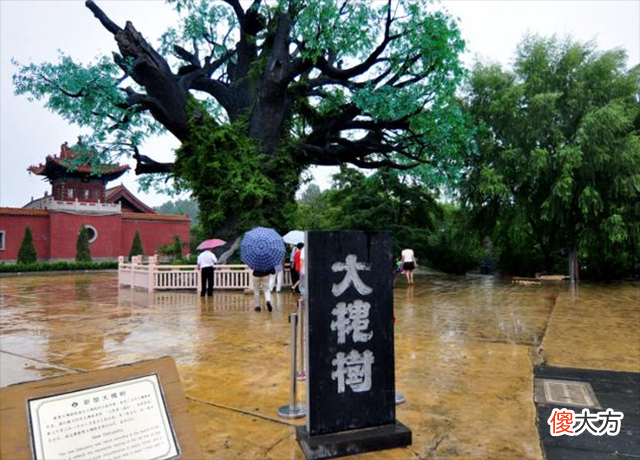 华夏民族500多支姓氏 华夏族的姓氏