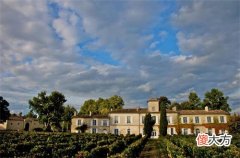 开一家红酒店前景怎么样 开红酒专卖店赚钱吗