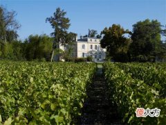 托帕客苏打气泡酒 托帕客硬苏打起泡酒