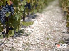 RFID追踪储存葡萄酒的木桶