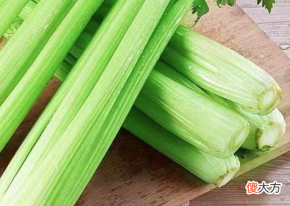 叶酸通乳散结 吴济堂这种食物含有大量的叶酸，女人常吃可以通乳散结、预防乳腺癌