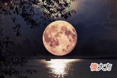 生几个孩子的命盘