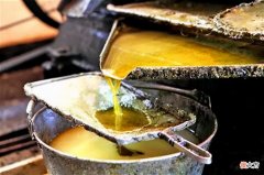 什么油最安全 什么油最好最安全