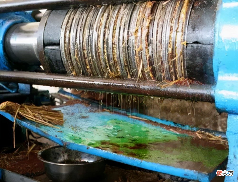 什么油最安全 什么油最好最安全