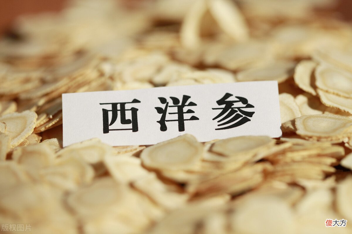 经常喝西洋参泡的水有什么好处 喝西洋参泡水对身体有什么好处