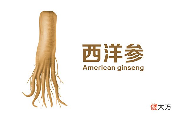 西洋参和黄芪有什么不同 黄芪跟西洋参有什么区别