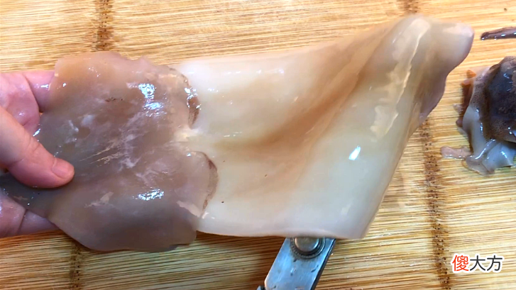 这才是鱿鱼的正确打开方式 鱿鱼的使用方法