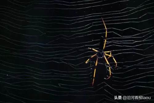 买了一个冰箱，送货那天，刚好小区停电了，8楼,送货的是个50多岁的男人