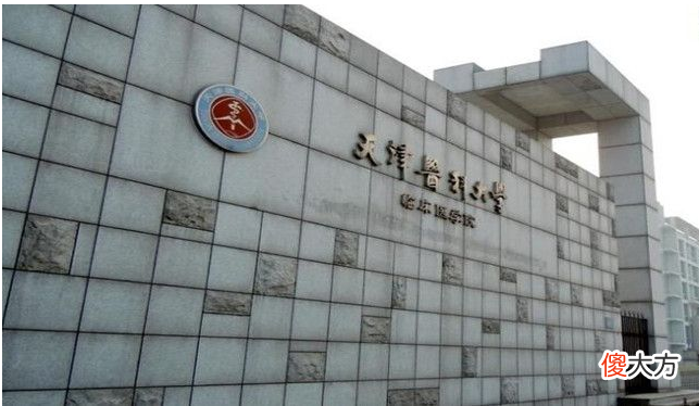 一大批医学院和双一流大学合并？北大研究员不赞成，单科医学院应独立