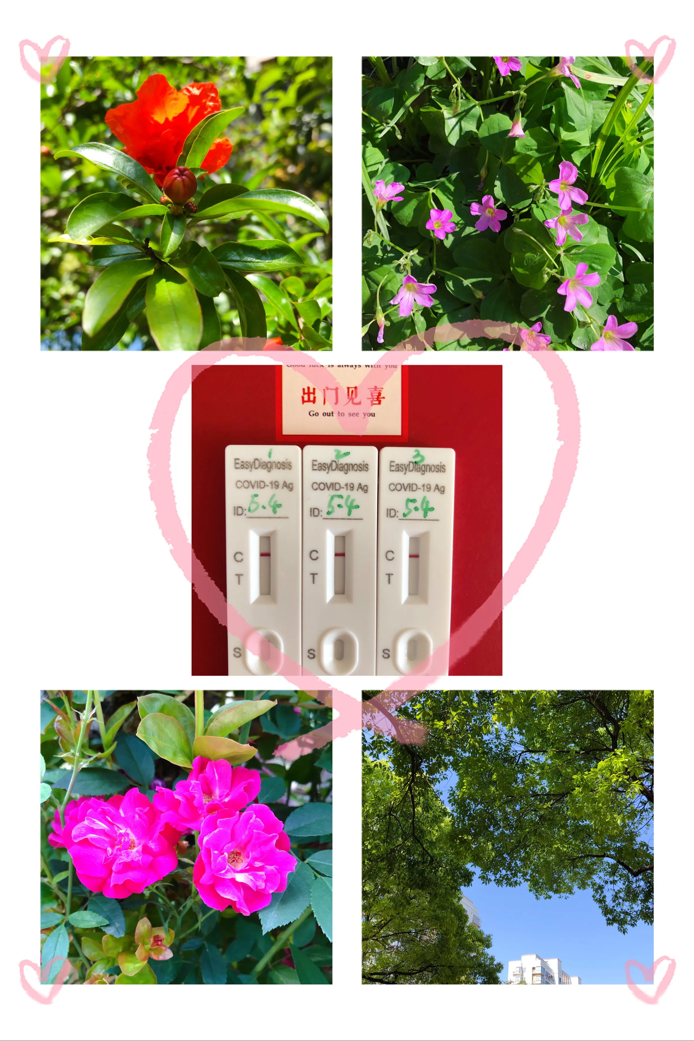 这是一个刻骨铭心的、永生难忘的五一黄金假期，也是收获满满的、倍加珍惜的社区宅家五