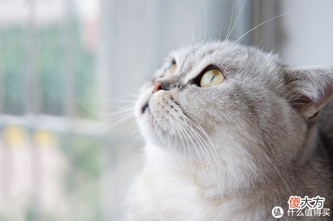 给父母买手机该怎么选 给爸妈买手机买魅蓝什么手机好