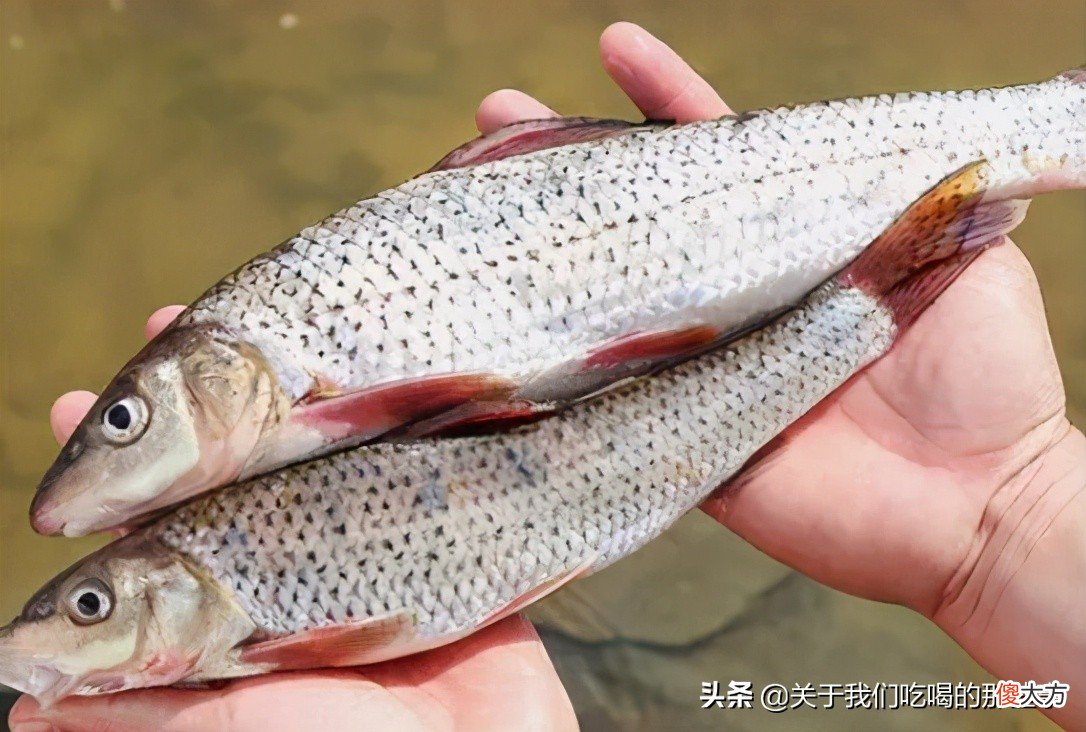 还经常有人吃 为什么还有人吃