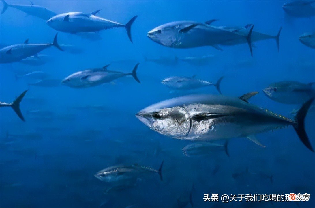 还经常有人吃 为什么还有人吃