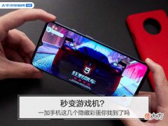 一加手机这几个隐藏彩蛋你找到了吗 一加手机的隐藏彩蛋