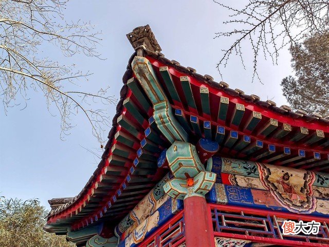 买哪款手机拍照好看 什么手机在线拍照好