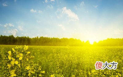 八字指迷之八