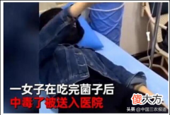 有毒也挡不住吃 怕有毒不敢吃