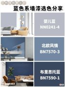 蓝色能够使新家变得更加的温馨明亮，而且饱和度不同的蓝色能够搭配出多种风格的家居