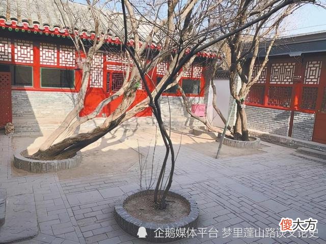 【历史故事】许广平资助朱安，这是流传已久的谎言！鲁迅的遗产哪里去了？