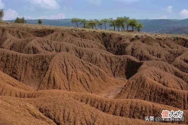 横穿世界两大著名沙漠的尼罗河 尼罗河 沙漠