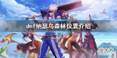 dnf纳瑟乌森林在哪_纳瑟乌森林位置介绍