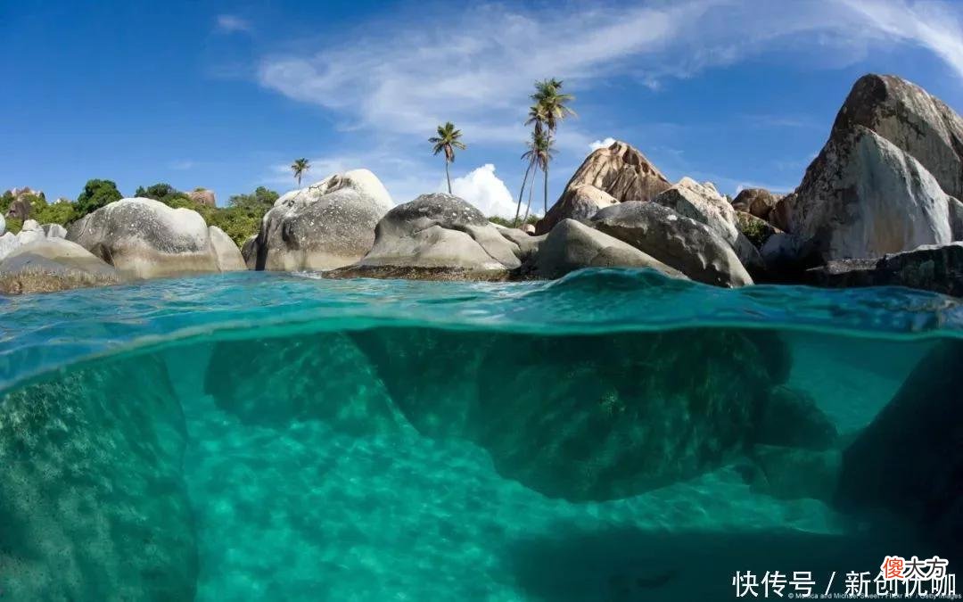 【十二星座】2022下半年，趋利避害，顺心如意，财运上涨，大富大贵的三个生肖