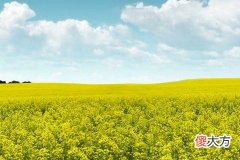 找老公上下嘴唇都厚的男人面相理由是啥