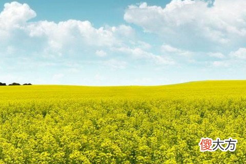 找老公上下嘴唇都厚的男人面相理由是啥