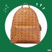 双肩包我就买这个大牌 买个品牌双肩包