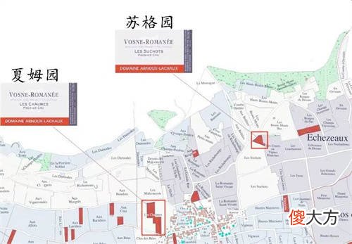 葡萄酒新旧世界有哪些区别 葡萄酒上的年份指什么意思