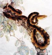 【十二星座】嘴硬心软，善报连连的生肖，好运围着转，小人不近身