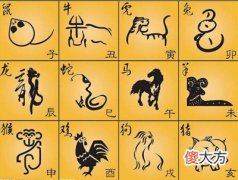 十二生肖对应什么地支？