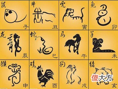 十二生肖对应什么地支？