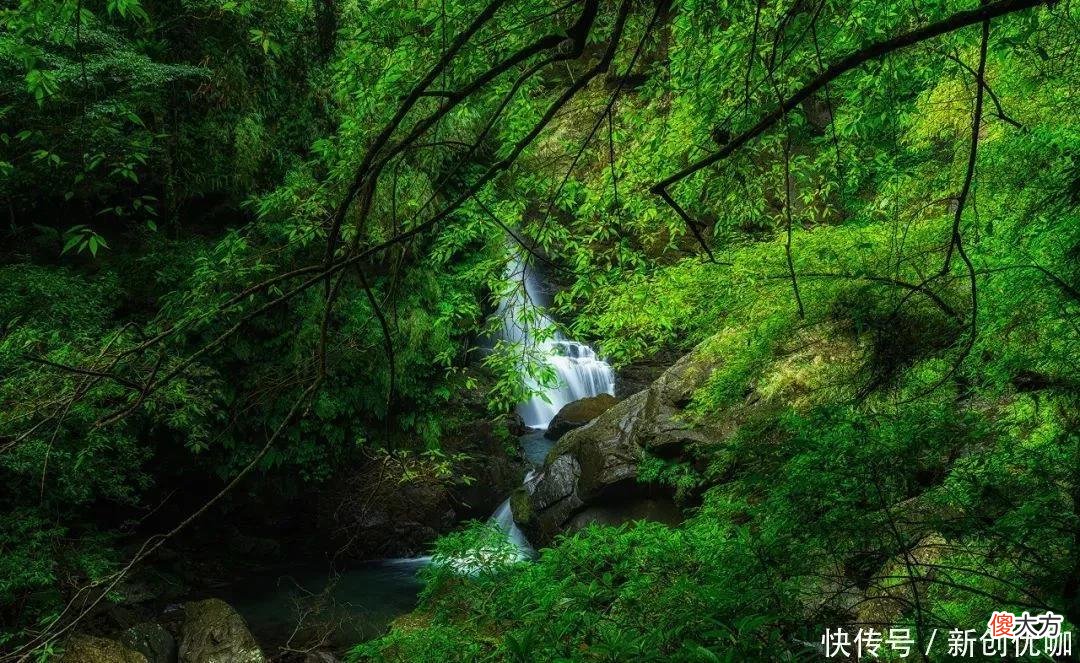 【星座控】2022下半年，正财大涨，偏财红旺，横财四起，有望大富大贵的生肖