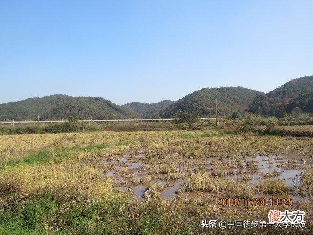 →彭泽县·杨梓镇 彭泽县什么地方买手机好