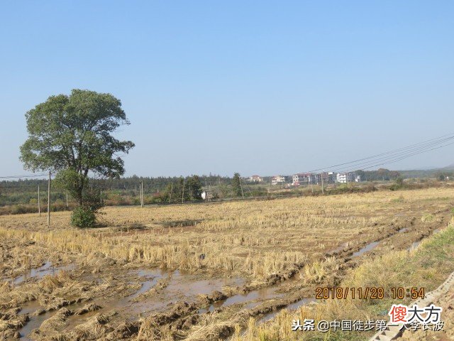 →彭泽县·杨梓镇 彭泽县什么地方买手机好