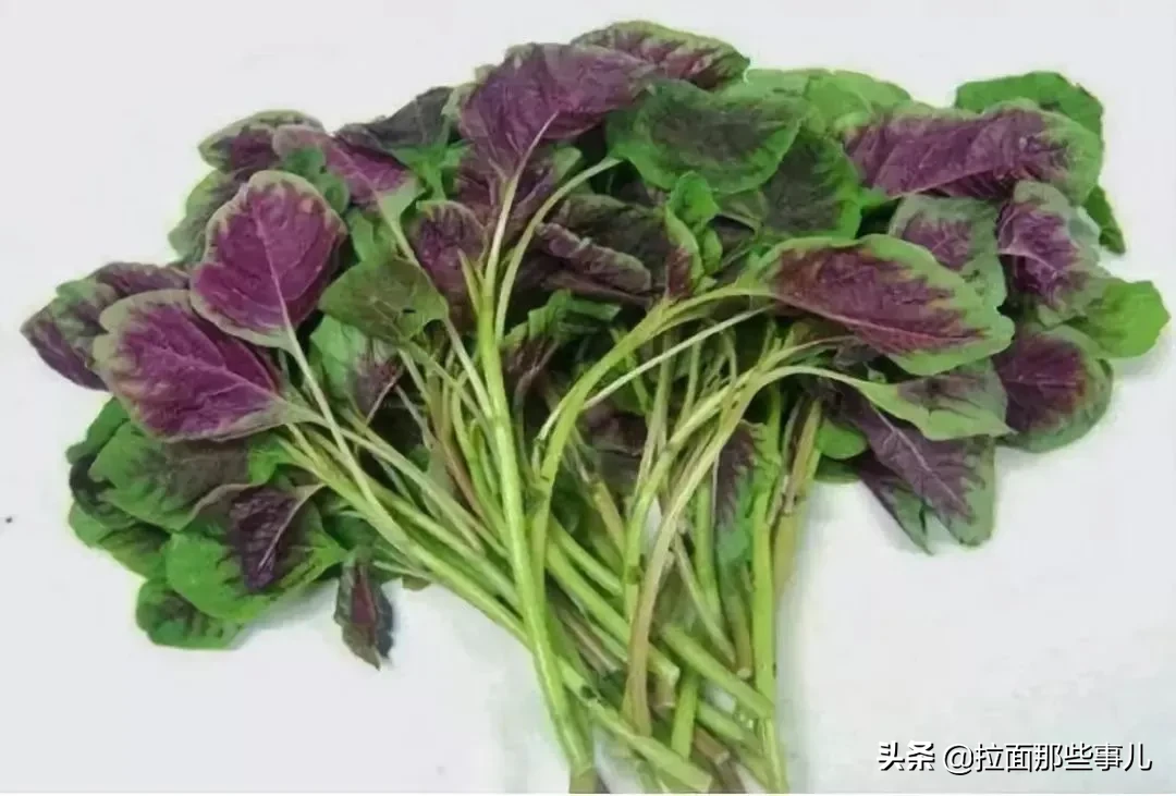 经常做饭的人一定要收藏哪些蔬菜需要焯水？食材焯水小技巧分享