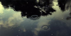 小雨不是small rain，大雨也不是big rain！